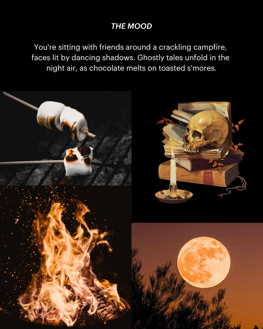 Afterlife ~ Bougie (Feu de camp et chocolat)