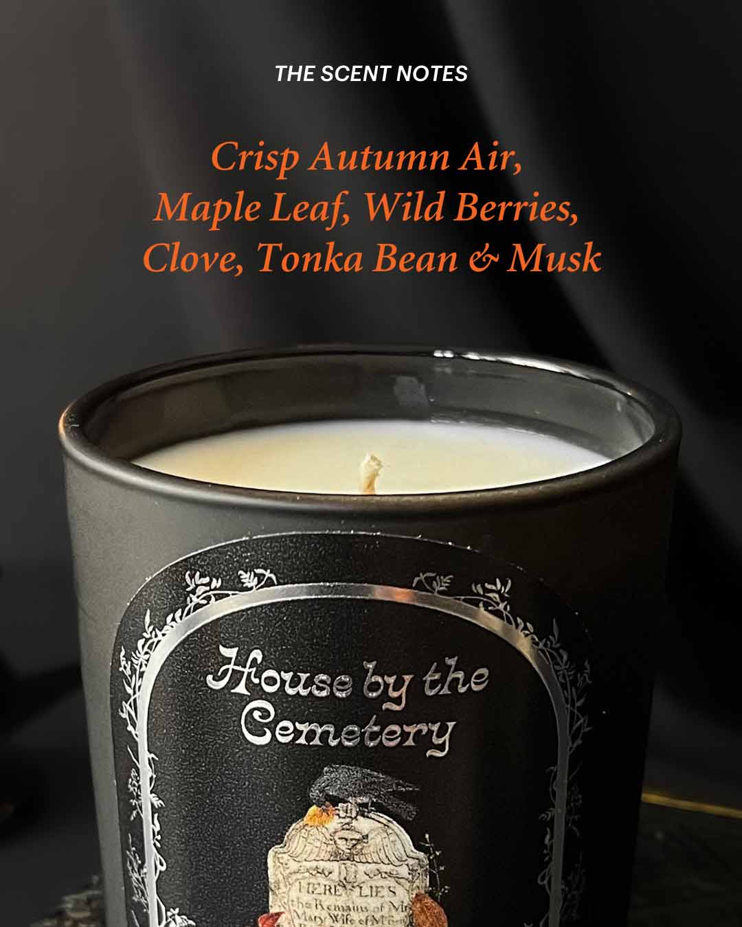 House by the Cemetery ~ Bougie (Feuilles mortes et Clou de girofle)