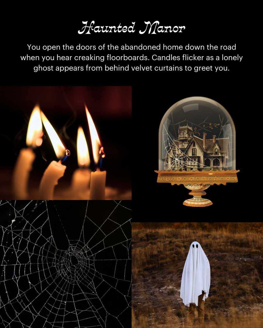 Barre de Cire Fondante ~ Bois tendres et vanille (Haunted Manor)