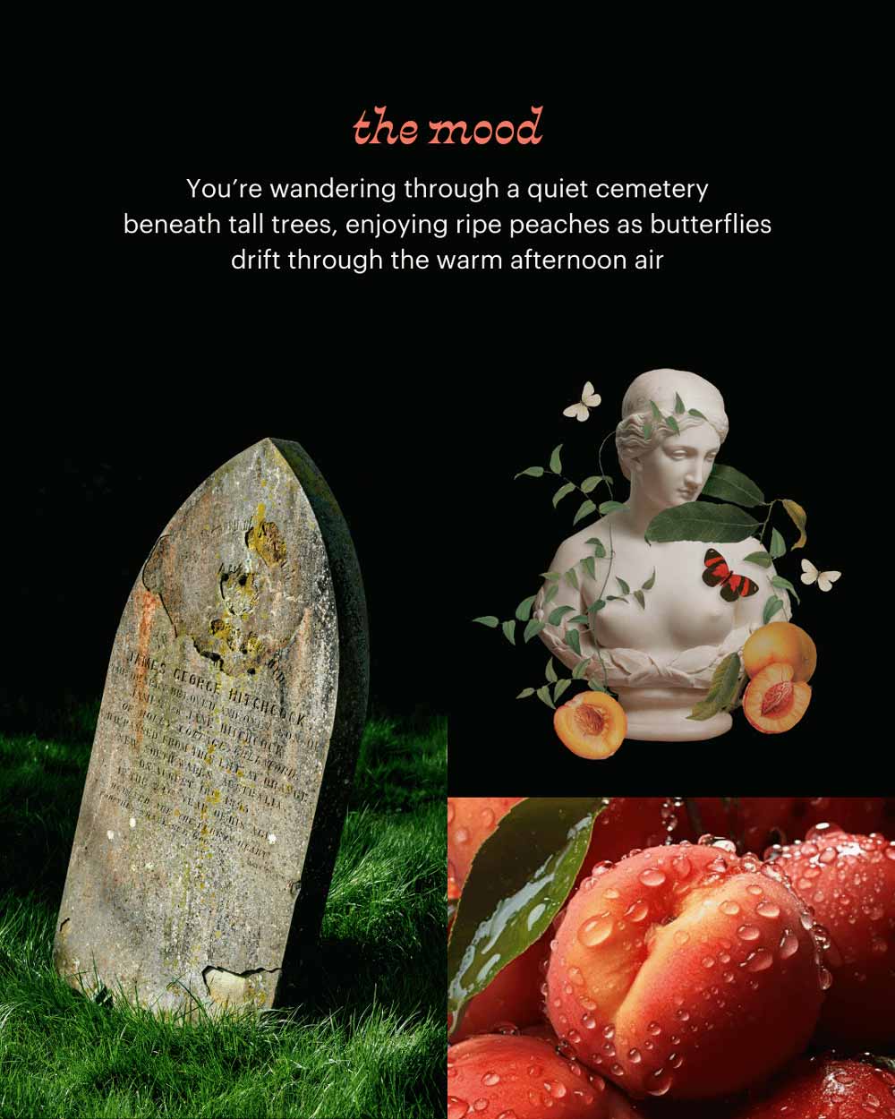 Coffin Snapbar ~ Peach & Woods (Picnic in the Cemetery)