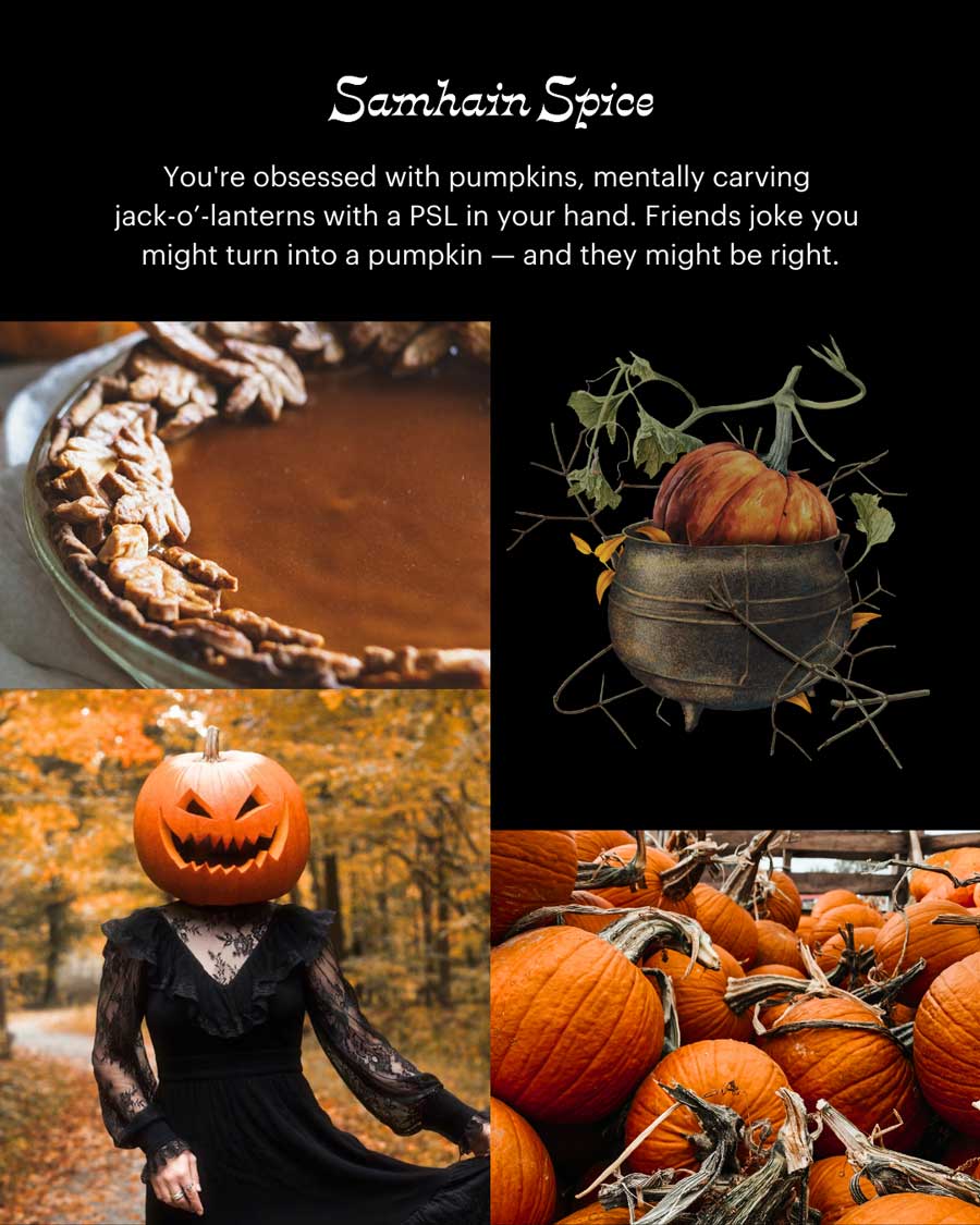 Cire fondante à la Citrouille ~ Citrouille et cannelle (Samhain Spice)