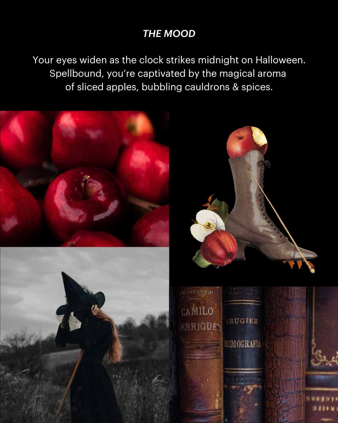 Witching Hour ~ Bougie (Cidre de pomme et épices)