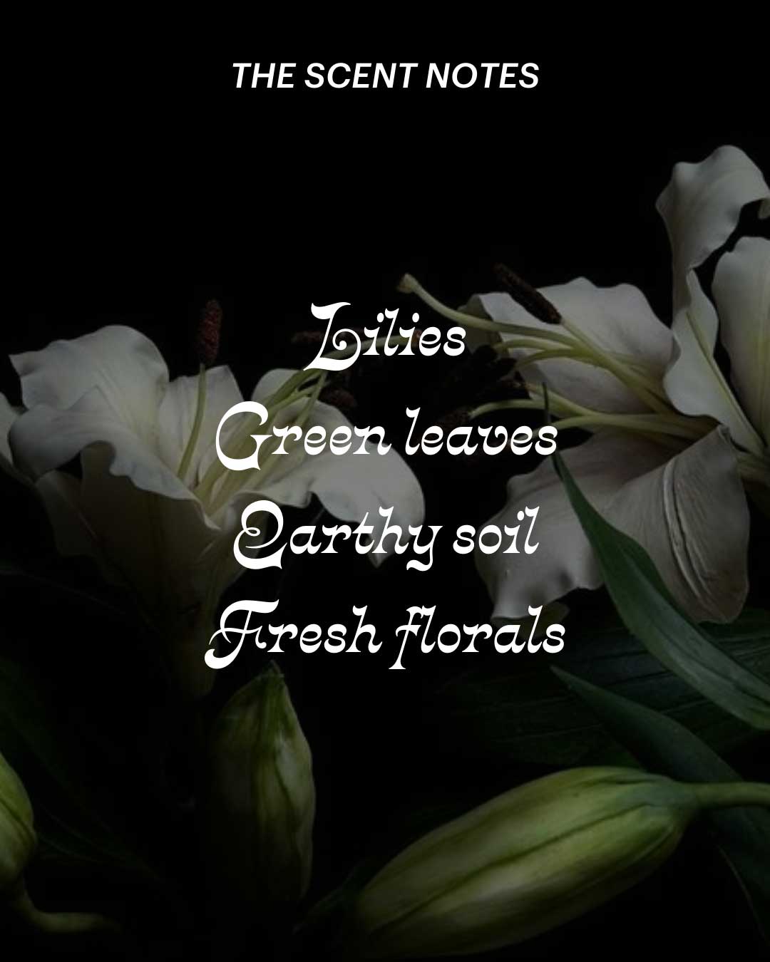 Burial Bloom ~ Perfume Mist (Fresh Lilies)