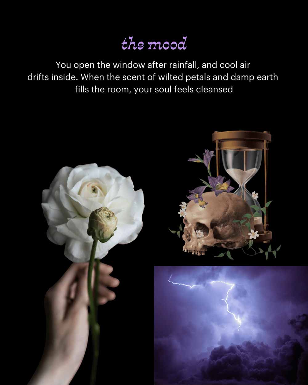 Decay Dreaming Candle (Rain & Honey Melon)