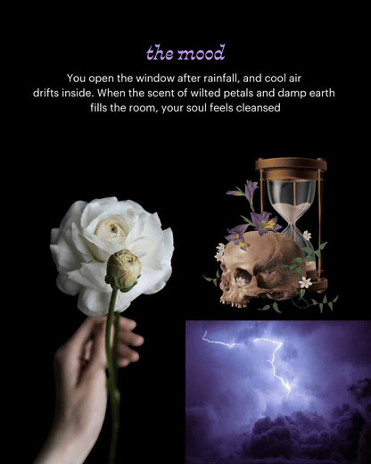 Decay Dreaming Candle (Rain & Honey Melon)