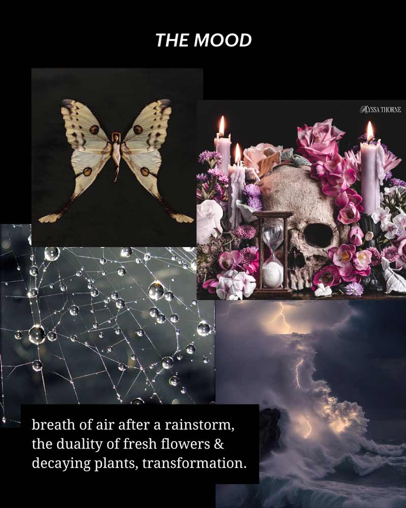Decay Dreaming ~ Perfume Mist (Rain & Musk)