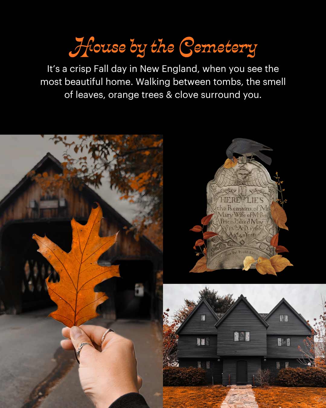 Coffin Snapbar ~ Fallen leaves & Clove (House by the Cemetery)