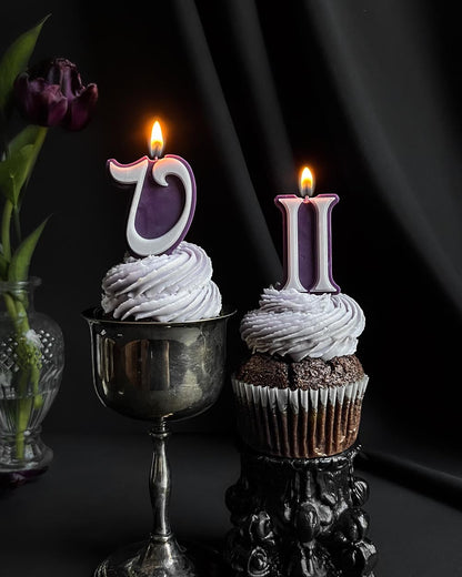 Roman Numeral Birthday Candles ~ Deep Purple