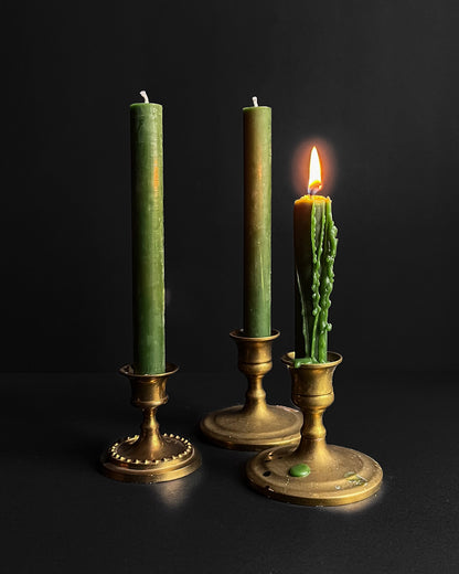 Forest Green ~ Taper Candles